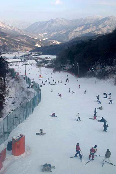 곤돌라에서 내려다본 슬로프는 스키 인파로 붐빈다 